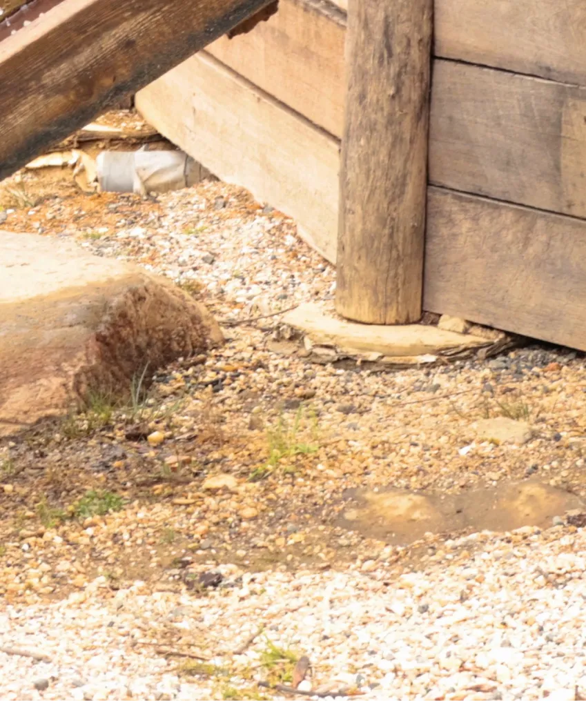 Pier & Beam Foundation Repair & Crawl Space Services 1
